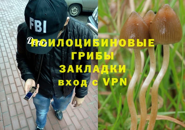 кристаллы Алзамай