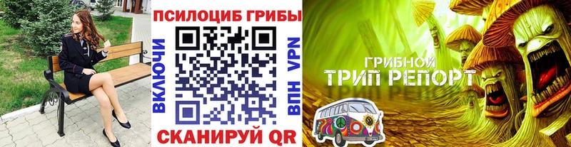 Галлюциногенные грибы Psilocybine cubensis  Новоуральск 