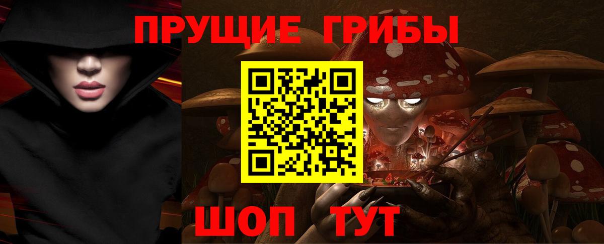 Новоуральск  Псилоцибиновые грибы мицелий  Вход с VPN  Галлюциногенные грибы Psilocybe 